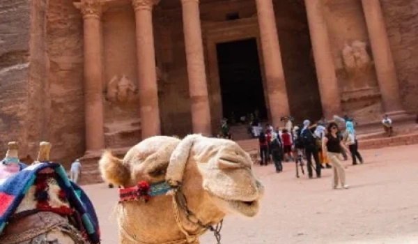 Picture2_94f792a9-2c2a-45c5-b7ef-e5a6b93967c2_530x@2x-1